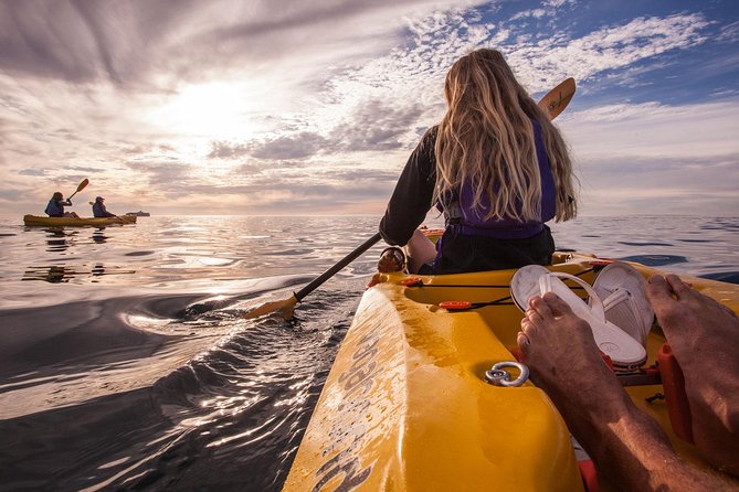 Kayak to the penguins in Simons Town - Boulders Beach and the African penguins