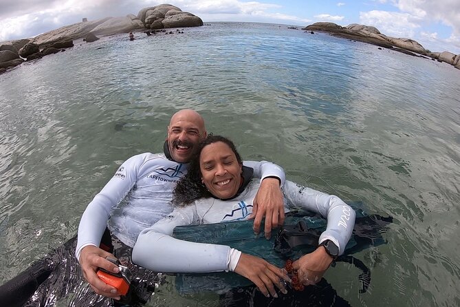Kelp Forest Snorkeling in Cape Town - Why Cape Town’s kelp forest is worth seeing