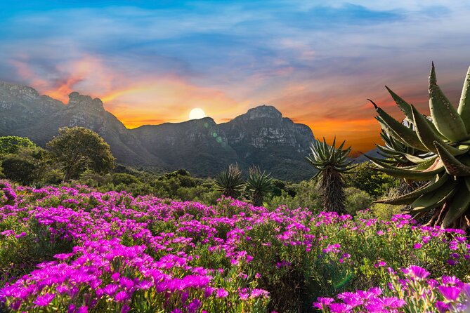 Kirstenbosch Botanical Gardens and Constantia Wine Tasting Tour. - Starting at 9:00 am with Hotel Pickup