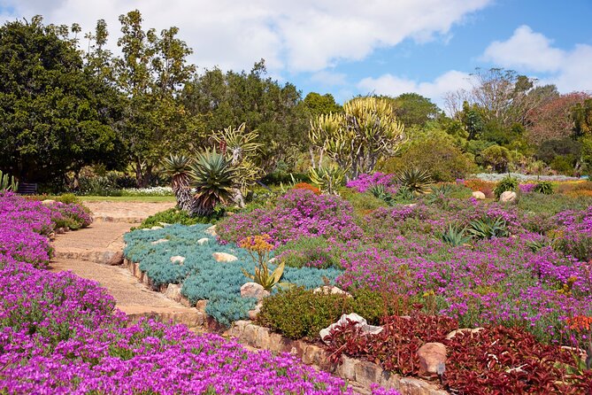 Kirstenbosch Garden, Bo-Kaap-Penguins & Cape of Good Hope Tour - One hour with the African penguins at Boulders Beach
