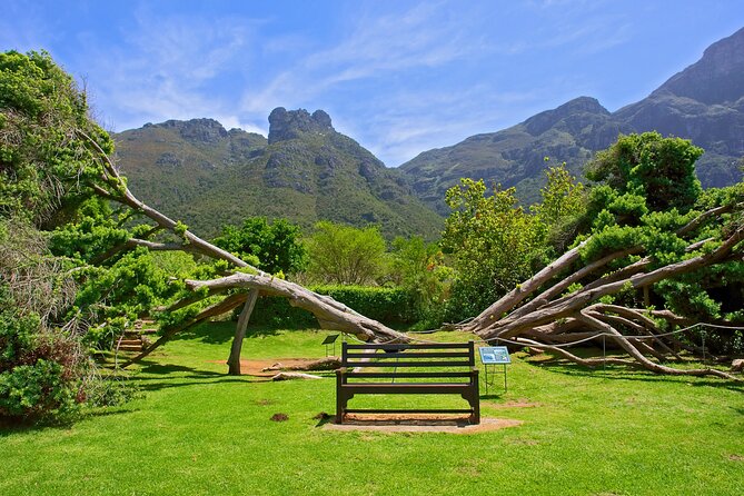Kirstenbosch Garden, Bo-Kaap-Penguins & Cape of Good Hope Tour - Hout Bay, Camps Bay, and the ride home