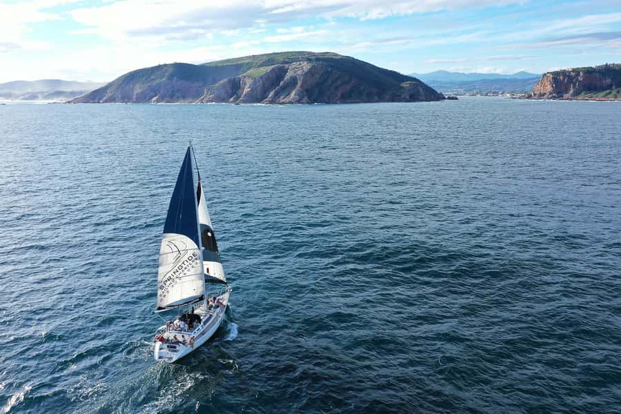 Knysna: 1.5-Hour Sailing Experience - Practical tips for a smoother sail