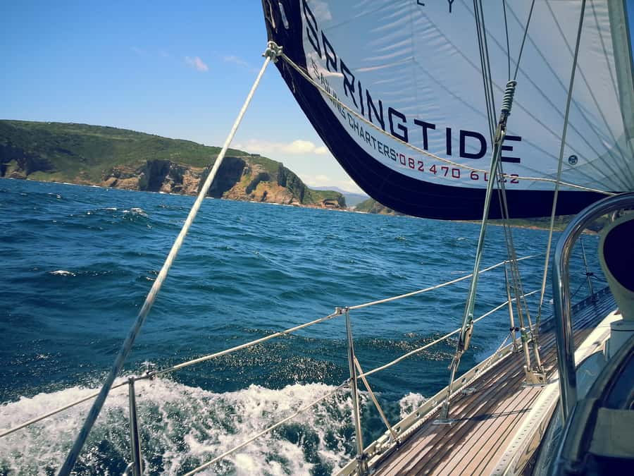 Knysna: 2.5-Hour Day Sail & Lunch Charter - What the crew adds to the outing