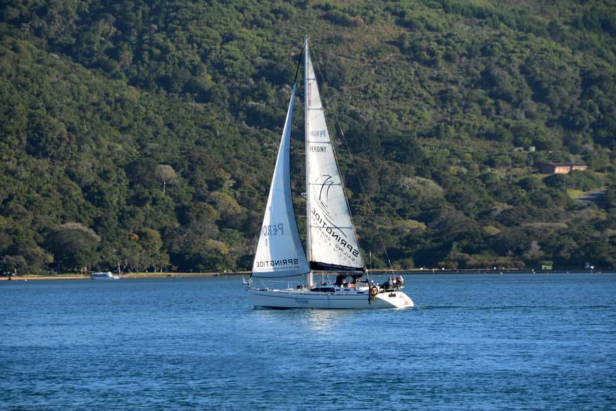 Knysna: 2.5-Hour Day Sail & Lunch Charter - Who will enjoy this 2.5-hour charter