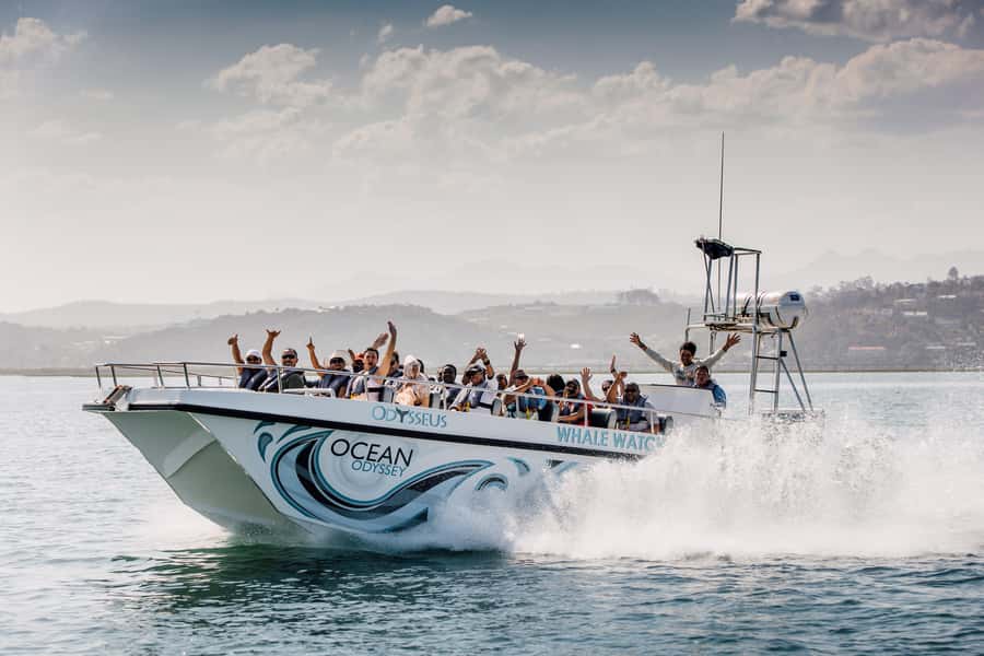 Knysna: Close Encounter Whale Watching Tour by Boat - From Thesen Harbour Town to the open sea