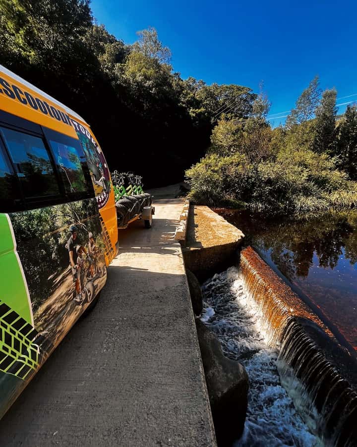 Knysna: Downhill Forest Scootour Adventure - Key points to know before you book