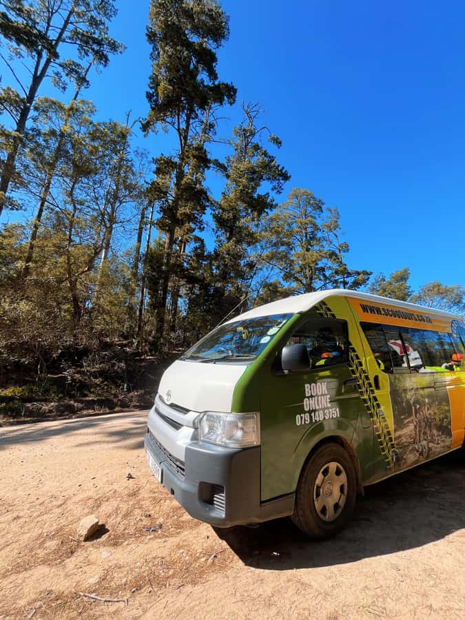 Knysna: Downhill Forest Scootour Adventure - Why the small group matters