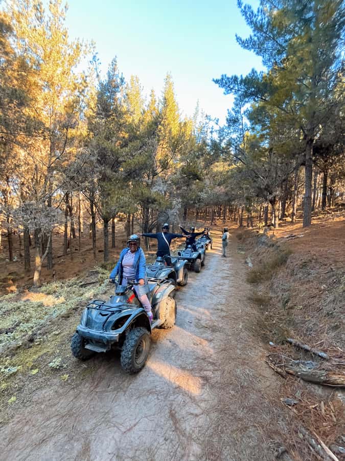 Knysna: Guided Quad Bike Tour in the Forest - Key points at a glance