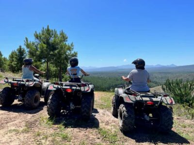 Guided Quad Bike Tour in the Forest