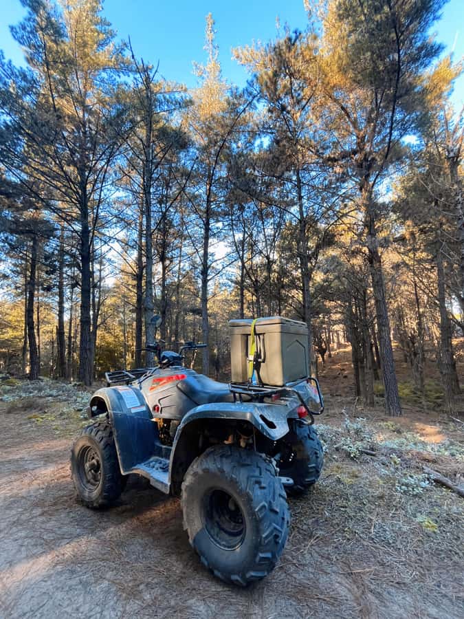 Knysna: Guided Quad Bike Tour in the Forest - Keeping the group small