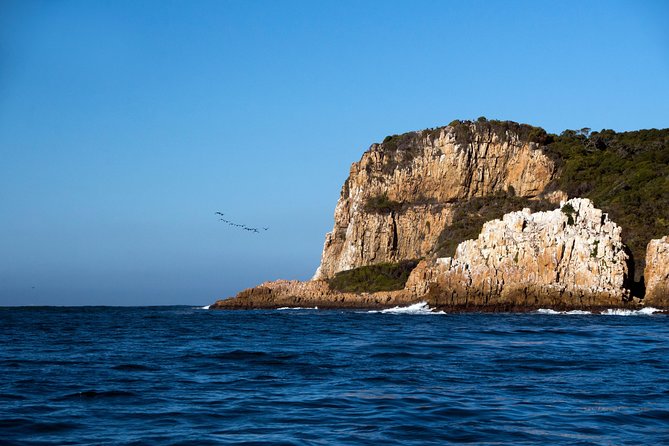Knysna Heads & Lagoon Adventure Tour - How the 45-minute duration affects the experience