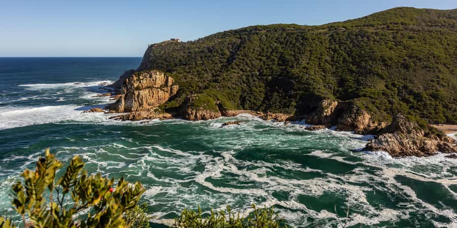 Knysna: Knysna Lagoon Pontoon Boat Cruise - Daytime swimming and relaxed water time