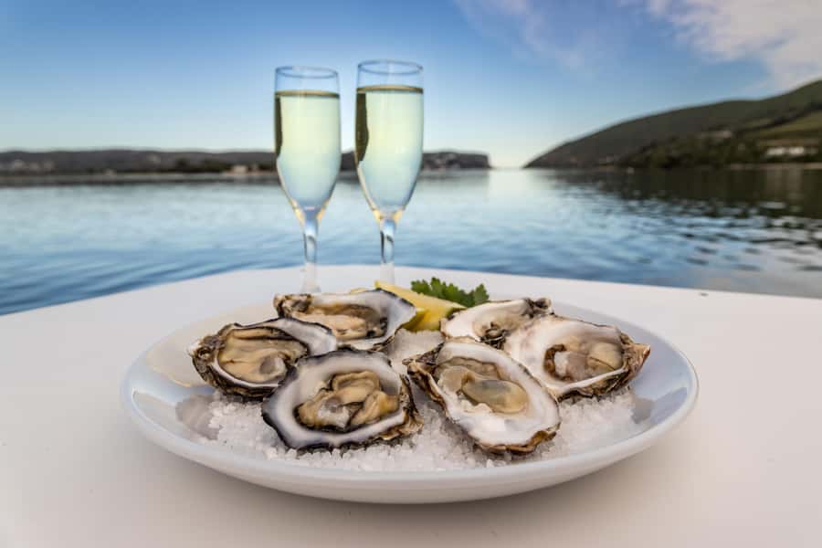 Knysna: Knysna Lagoon Pontoon Boat Cruise - What the $29 price delivers