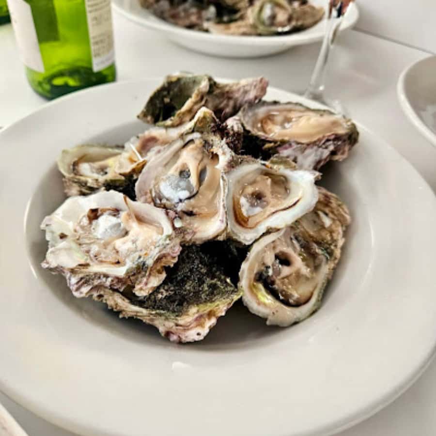 Knysna Lagoon: Boat Cruise with Oyster & White Wine Tasting - Tasting Six Fresh Oysters With White Wine