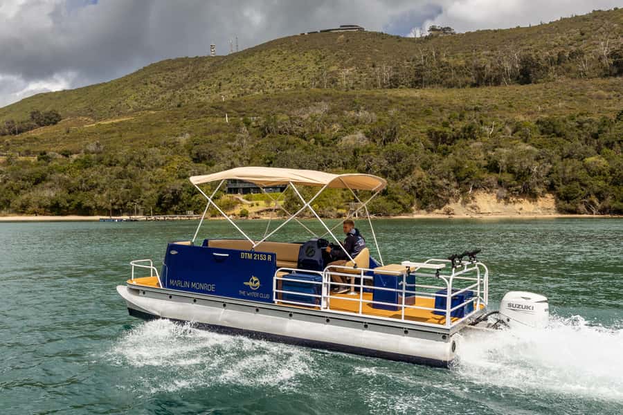 Knysna Lagoon Fishing Charter - The Knysna Lagoon species you might target
