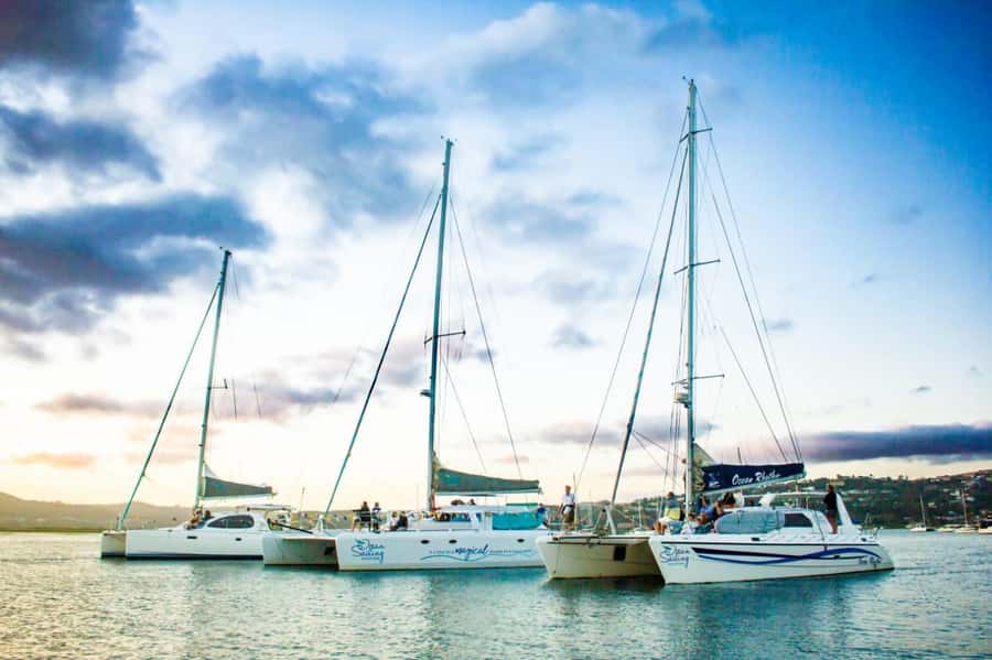 Knysna: Luxury Catamaran Marine Adventure Tour - Setting out from Thesen Island