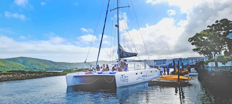 Knysna: Luxury Catamaran Marine Adventure Tour - Is $84 good value for two hours?