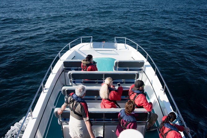Knysna Marine Life & Garden Route Coastline Experience - Key points to know before you book