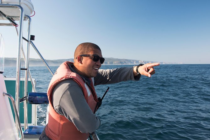 Knysna Marine Life & Garden Route Coastline Experience - Choosing the right departure time