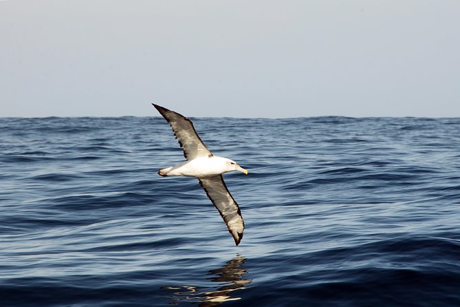 Knysna Marine Life & Garden Route Coastline Experience - Brenton-on-Sea, Buffalo Bay, and the open coast
