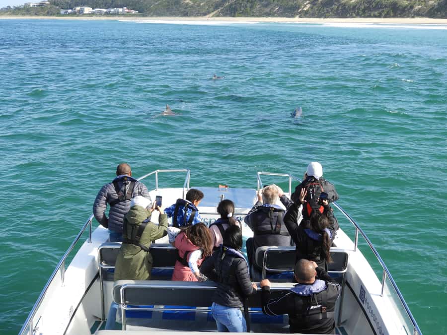 Knysna: Marine Life & Garden Route Coastline Tour - Wildlife Watching Without False Promises