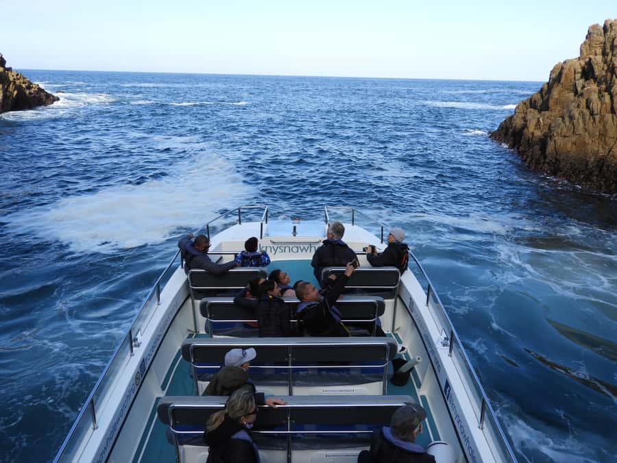 Knysna: Marine Life & Garden Route Coastline Tour - What the Guide Adds to the Ride