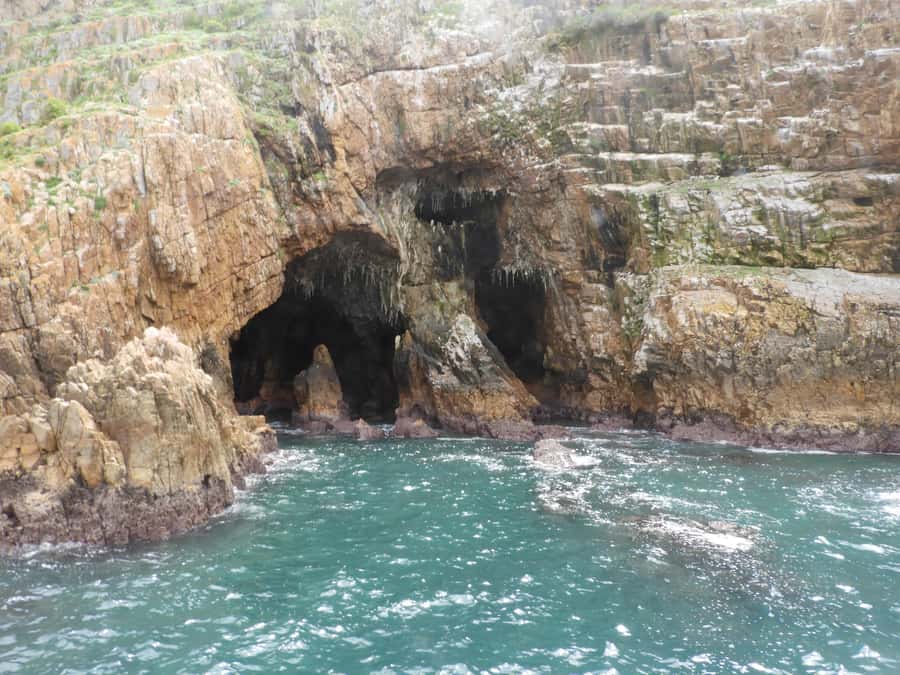 Knysna: Marine Life & Garden Route Coastline Tour - Timing, Weather and the Real-World Trade-Off