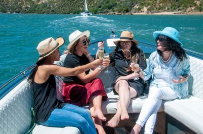 Scenic Cruise Aboard a Luxury Lounge Cruiser