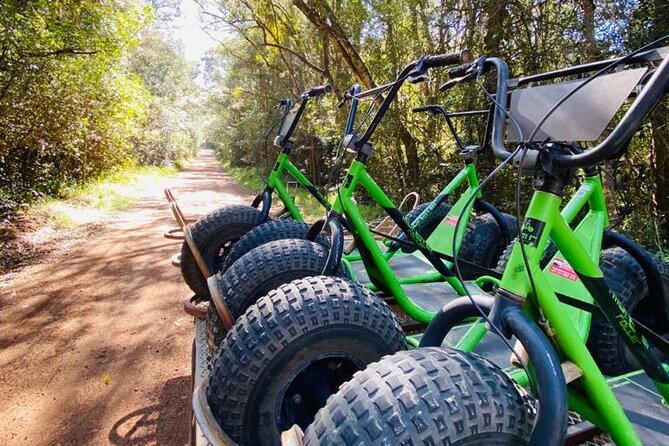 Knysna Scootours - Timing, transport, and what to bring