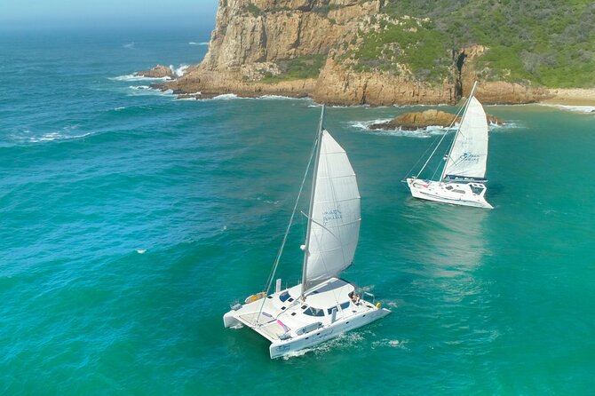 Knysna Sunset Sailing Cruise with captain's steak Braai & Bubbly - Key points to know before booking