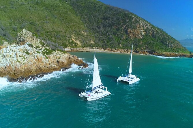 Knysna Sunset Sailing Cruise with captain's steak Braai & Bubbly - Who will enjoy this cruise most?