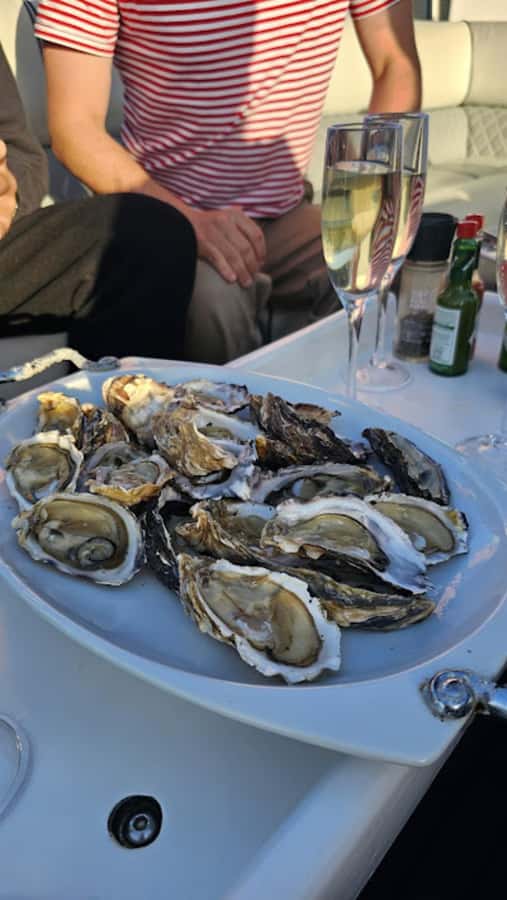 Knysna: Wine & Oyster Luxury Lounger Sunset Cruise - Key points to know before booking