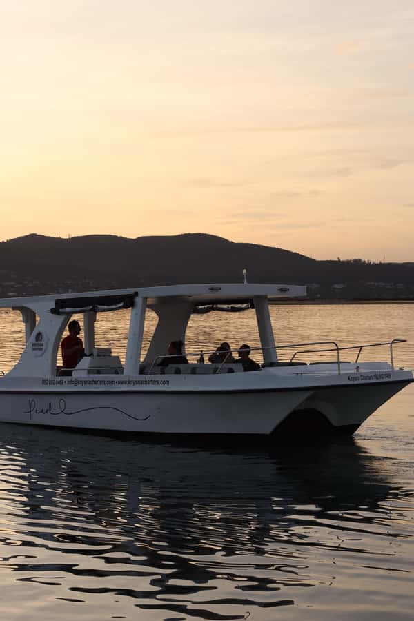Knysna: Wine & Oyster Luxury Lounger Sunset Cruise - The guides are part of the experience