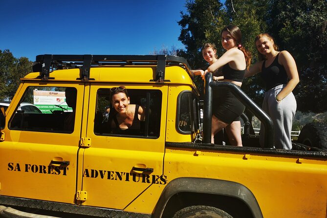 Knysna Ziplines Tour - Views of forest, gorge, mountains, and sea