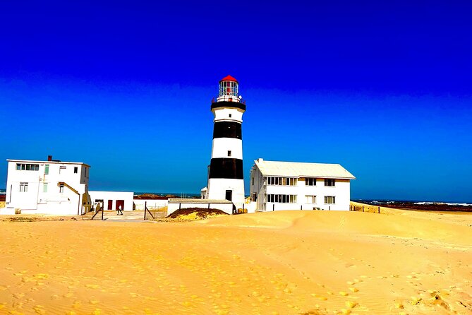 Kragga Kamma Game Drive and Scenic Coastal Tour in Port Elizabeth - What the included transport adds