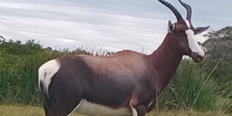 Kragga Kamma Game Park - Who will enjoy Kragga Kamma most?