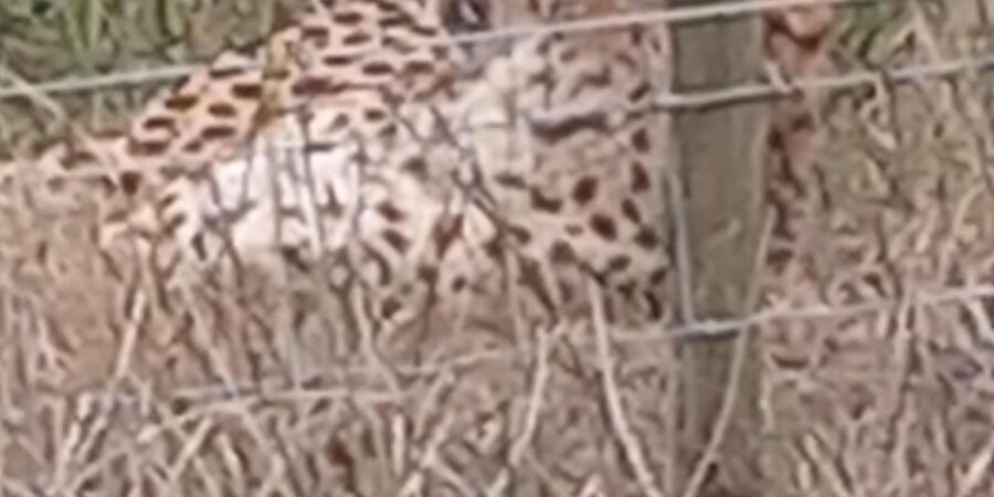 Kragga Kamma Game Park - How the four-hour drive works