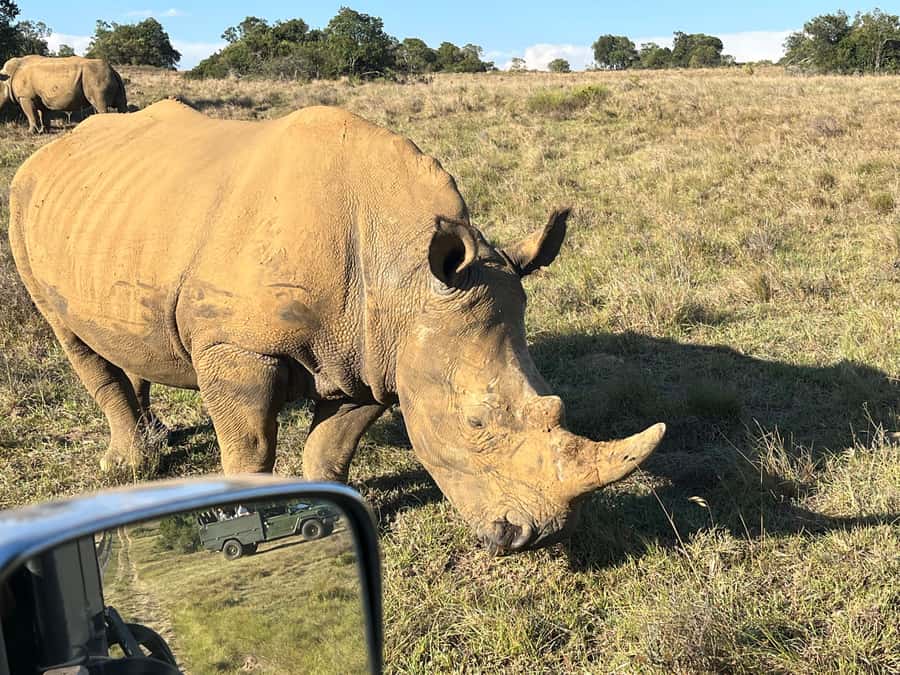 Kragga Kamma Game Park - The vehicle can shape the whole experience