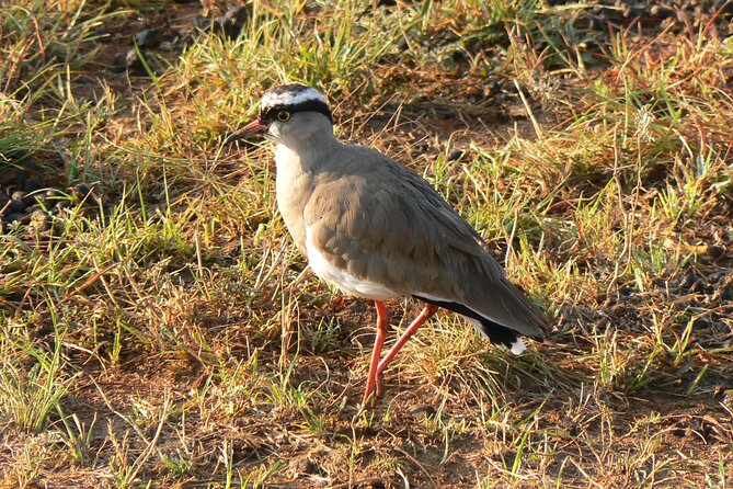 Kragga Kamma Game Park from Port Elizabeth - Why the private group size matters