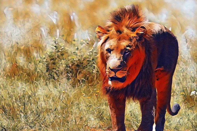 Kruger Lion Expedition with the Little Lionman Steve Kelly - Day 2: Walking near Skukuza, then moving to Lower Sabie
