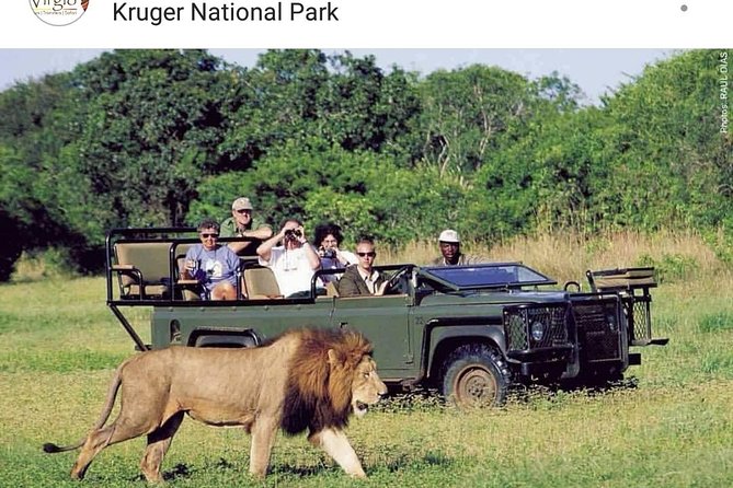 Kruger National Park 2 Days 1 Night Magical Safari from Johannesburg Private - Key points before you book