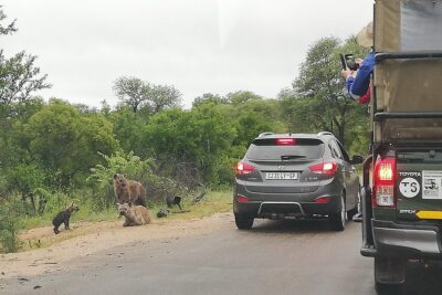 Kruger National Park 2 Days 1 Night Magical Safari from Johannesburg Private