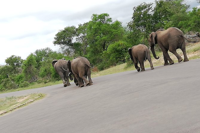 Kruger National Park 2 Days 1 Night Magical Safari from Johannesburg Private - Hazy View overnight: the practical reason for one night