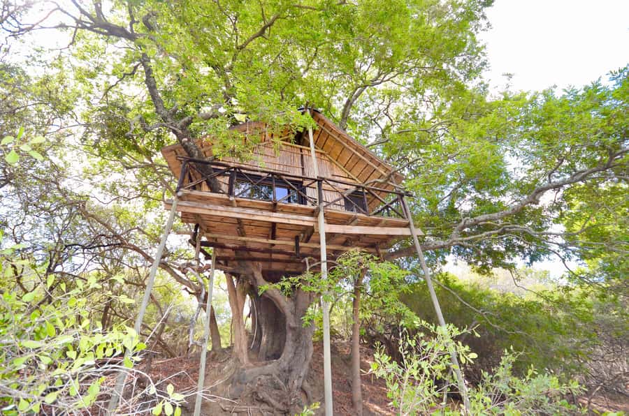 Kruger National Park: 3-Day Safari Tour and Treehouse Stay - Key points at a glance