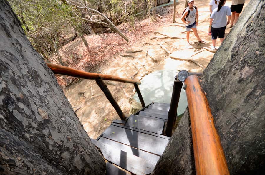 Kruger National Park: 3-Day Safari Tour and Treehouse Stay - Should you book it?