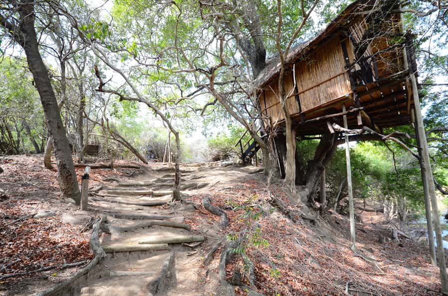 Kruger National Park: 3-Day Safari Tour and Treehouse Stay - Day 2: Open-sided views in Kruger National Park