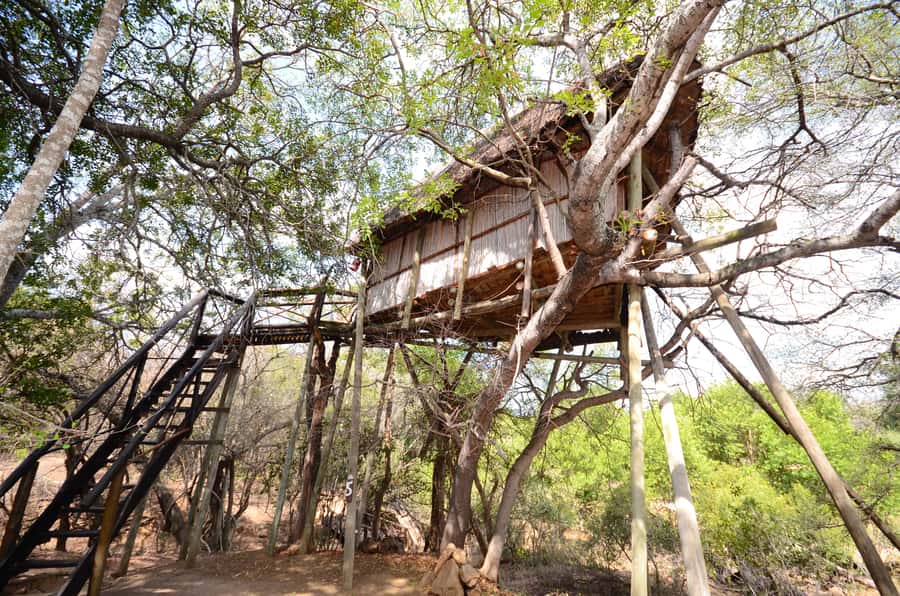 Kruger National Park: 3-Day Safari Tour and Treehouse Stay - Day 3: Sunrise on foot, then the Panorama Route