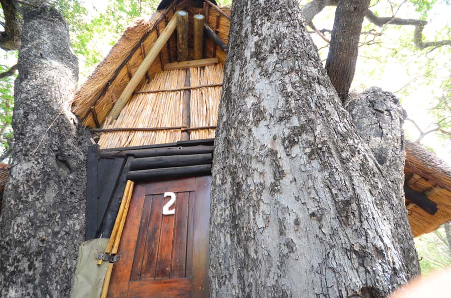 Kruger National Park: 3-Day Safari Tour and Treehouse Stay - Who should book this safari?