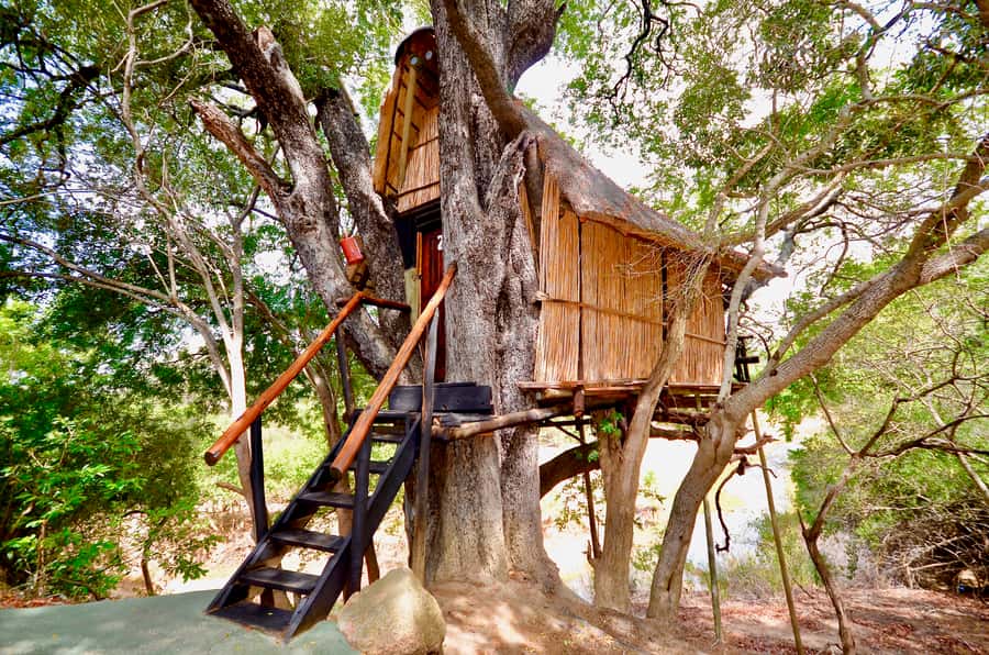 Kruger National Park: 3-Day Safari Tour and Treehouse Stay - Day 1: From Johannesburg to Balule after dark