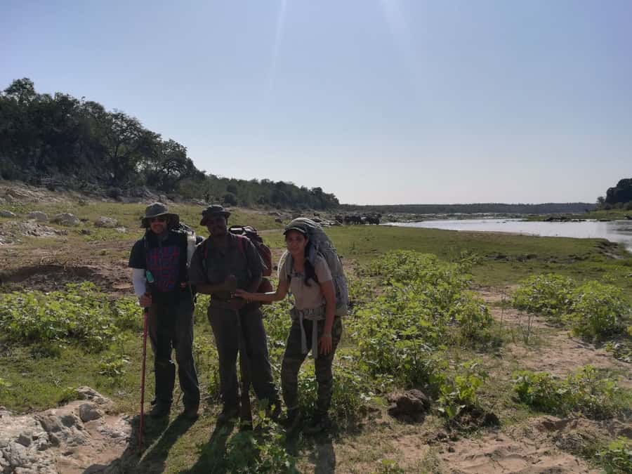 Kruger National Park: 3-Hour Walking Safari - The three-hour walk: slow travel in the bush